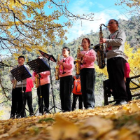 银杏树下开唱、足球场外快闪 桐子坳的秋为何让人们着迷?