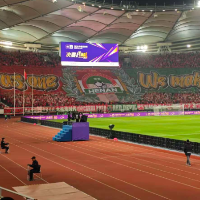 追光丨“第十二人”的热爱,让三十一年的坚守更有意义