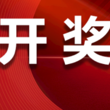 中国体育彩票2025年2月11日开奖信息