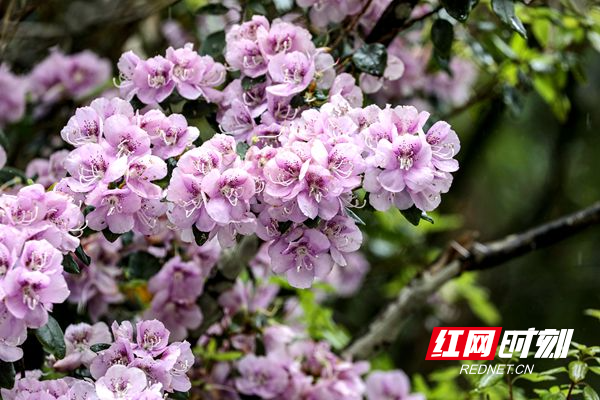 1713676738438-0zxgwjndp3dq.png 1713676738438-0zxgwjndp3dq.png