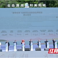 以花为媒促发展 “湘粤桂贵”杜鹃花生态旅游品牌联盟成立