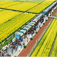 烟花三月下洞庭⑤丨蜜蜂在弹奏蝴蝶在起舞 你何时来平江？