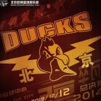 CBA总决赛：北京不敌广厦 总比分1:2落后