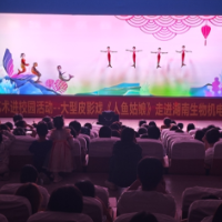 当安徒生童话遇上湖南皮影 这所高校的夜晚被光影点燃