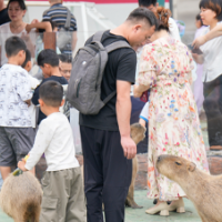 湘见端午丨卡皮巴拉“萌动”双节 邀您共赴海底奇妙之旅