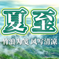 二十四节气·夏至丨竹浪为笺，风写清凉