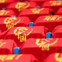 中国女篮“我来了”主场文化 政企民携手共筑体育盛宴