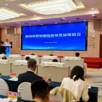 湖南发布系列扶持政策 真金白银推动微短剧高质量发展