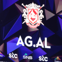 中国战队AG.AL获电竞世界杯王者荣耀项目冠军