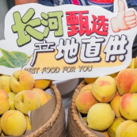 “麻阳黄桃 长寿圣果”长沙推介活动举办 现场购销黄桃2.38万吨