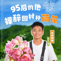 平凡的主播⑧丨五夫春春：95后的他，“裸辞”回村种荷花