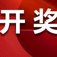 中国体育彩票2025年8月11日开奖信息