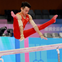 中国体操队公布2025年世锦赛参赛名单 张博恒、周雅琴入选