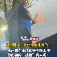 视频｜爬树看球？永州球迷玩真的！