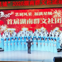 共迎新春！十余支湖南群文社团登台献艺展风采