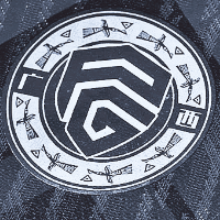 广西平果退出职业联赛 债务压垮壮乡足球希望