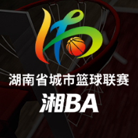 @湖南球迷 湘BA14支球队立体版队徽请查收