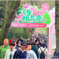 桃花源里赶大集！非遗雅集点亮春日文旅盛宴