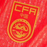 邵佳一:迎战“非洲雄狮”喀麦隆 国足要依靠整体力量