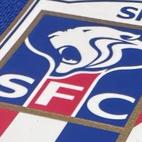 上海申花2比0击败青岛海牛赢得四连胜 密集赛程需防控核心球员伤病