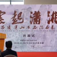 来长沙美术馆免费观展 这个“80后”艺术家不一般