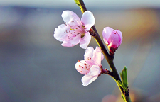 诗歌时刻丨梁尔源：春天伸了个懒腰（组诗）