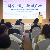 广西文化旅游企业产品区外对接会长沙举行 湘桂企业共拓短途游市场
