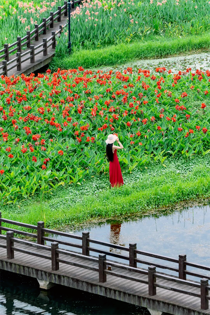 微信图片_2026-06-05_094358_487.png