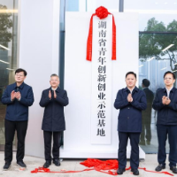 从“点”的突破到“面”的跃升 看兴湘集团统战工作的系统解法｜国企同心力②