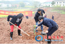 浏阳沙市镇聚焦法治建设，以树为媒共建“法治林”