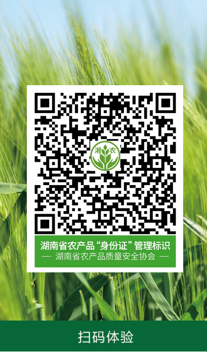 图片8.png