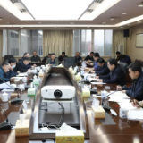 省司法厅召开省司法行政系统队伍教育整顿领导小组第十七次会议暨第二批队伍 教育整顿“回头看”工作部署会