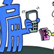 将计就计布下"情网" 受骗女子发现上当马上报警智取骗子