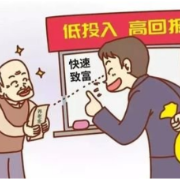 聚焦养老诈骗典型案例:多个重点领域高发 如何筑牢反诈防线?