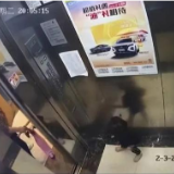 杭州2岁女童坠亡案细节:窗台不到半米高,电梯门仅开6秒