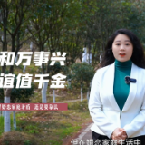 视频 | 化解婚恋家庭矛盾要靠法