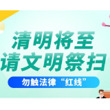 长图 | 清明将至，请文明祭扫，勿触法律“红线”