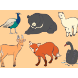 漫画 | 新修订的《野生动物保护法》有哪些变化？一起来了解下吧