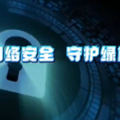 湖南网络普法行丨武冈市委网信办《共筑网络安全 守护绿色家园》