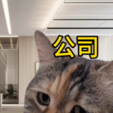 职场普法 | 对工资有异议，必须3天内提出吗？