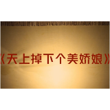 株洲市“非遗+普法”优秀作品集锦 | 《天上掉下个美娇娘》