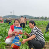 新田县司法局：法治宣传融入传统 共筑乡村和谐