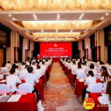 共青团长沙市律师行业第二次代表大会召开