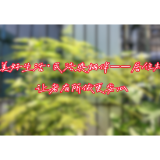 跟着微短剧来学法 | 一张“居住权”证带来的安心晚年