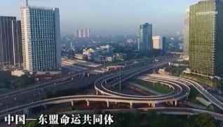 独家视频丨习近平：中国—东盟关系是推动构建人类命运共同体的生动例证