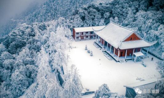 美出"高冷范儿 湖南一大波雪景实拍图来了