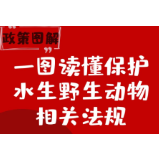 【政策图解】一图读懂保护水生野生动物相关法规