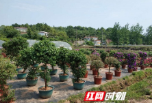 省委党校100名学员深入湘潭两个村看扶贫成效  现场教学引共鸣