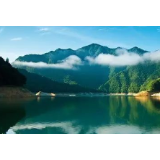 三百万贫困人口靠生态脱贫致富 绿水青山变成金山银山