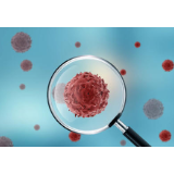 巴西确诊病例累计突破23万，超过意大利西班牙